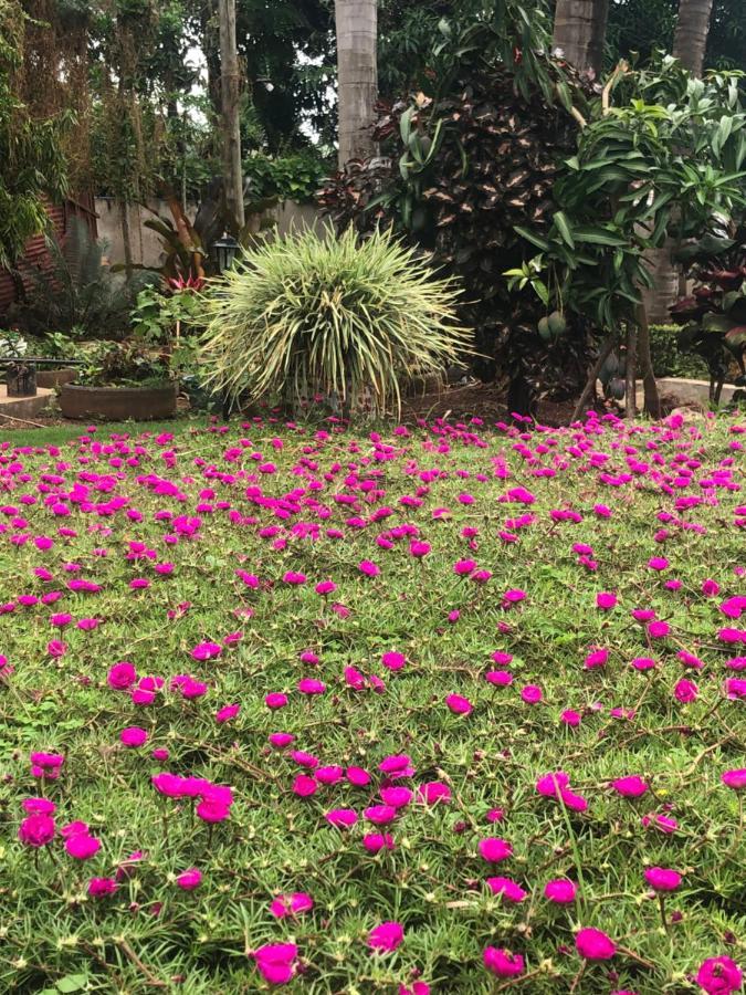 Mama Thea Homes Moshi Esterno foto